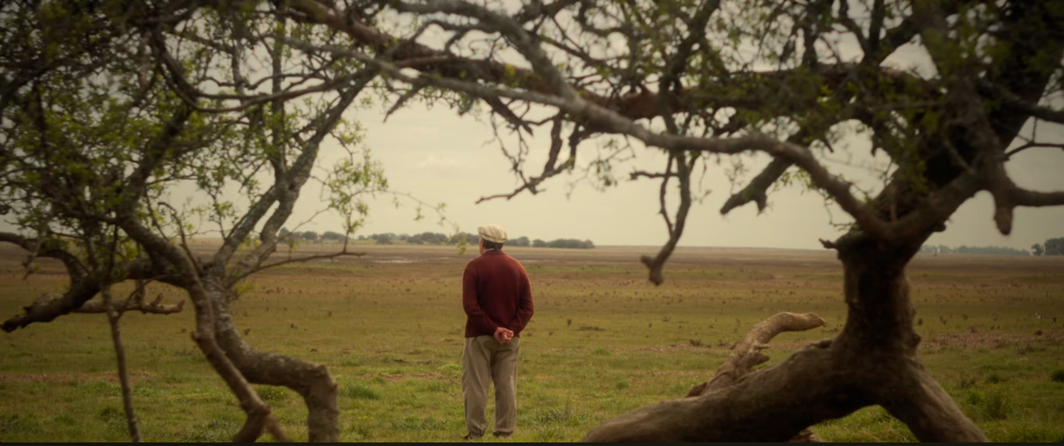 Ezequiel Gomez, Sé que me guías